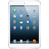 Apple iPad mini 16Gb Wi-Fi + Cellular белый - Георгиевск