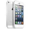 Apple iPhone 5 64Gb white - Георгиевск